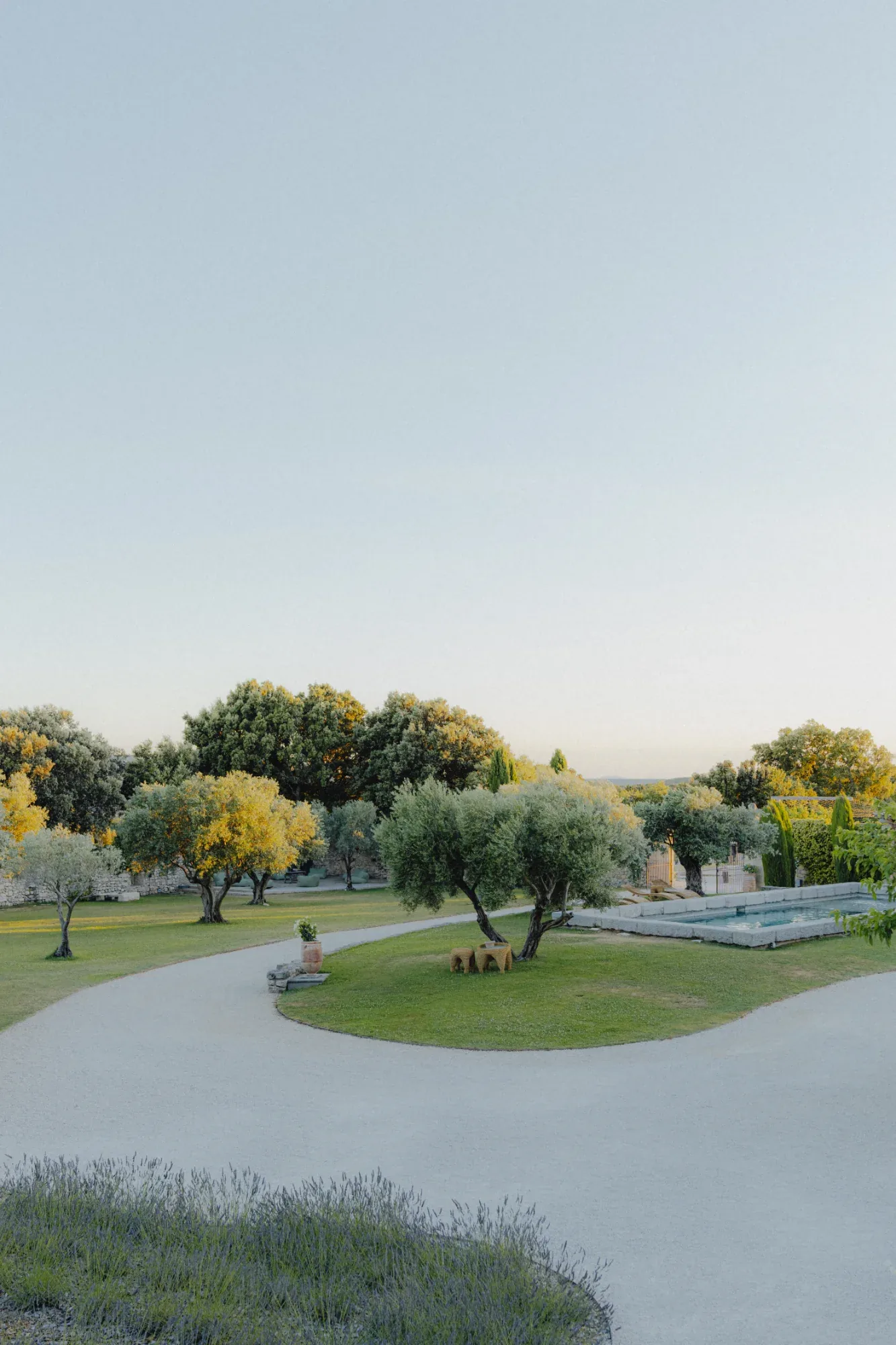 Le parc planté d'oliviers, ouvert sur la Provence